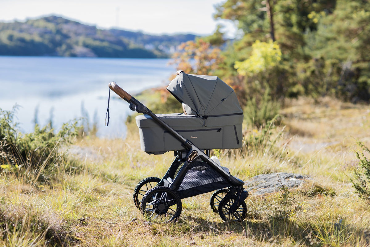 SENTO PRO Outdoor Green koos vankrikorviga mere ääres.